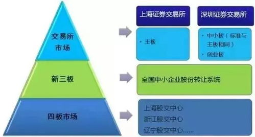 從科創(chuàng)板到IPO全流程 上海中小企業(yè)網(wǎng)絡(luò)技術(shù)服務(wù)的資本化路徑